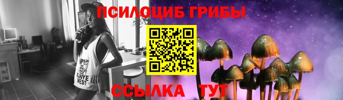 Елабуга  Галлюциногенные грибы Psilocybine cubensis  Вход с VPN 
